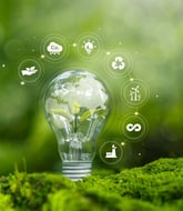 Comment Möbius a accompagné le réseau d