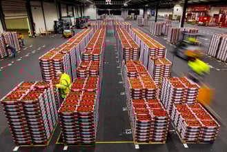 Process redesign for an operational excellent Coöperatie Hoogstraten