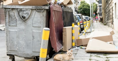 Hoe BEWAPP beleid en actie verbindt via een strategisch dashboard