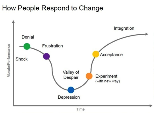 Expertise_network consulting_network transition