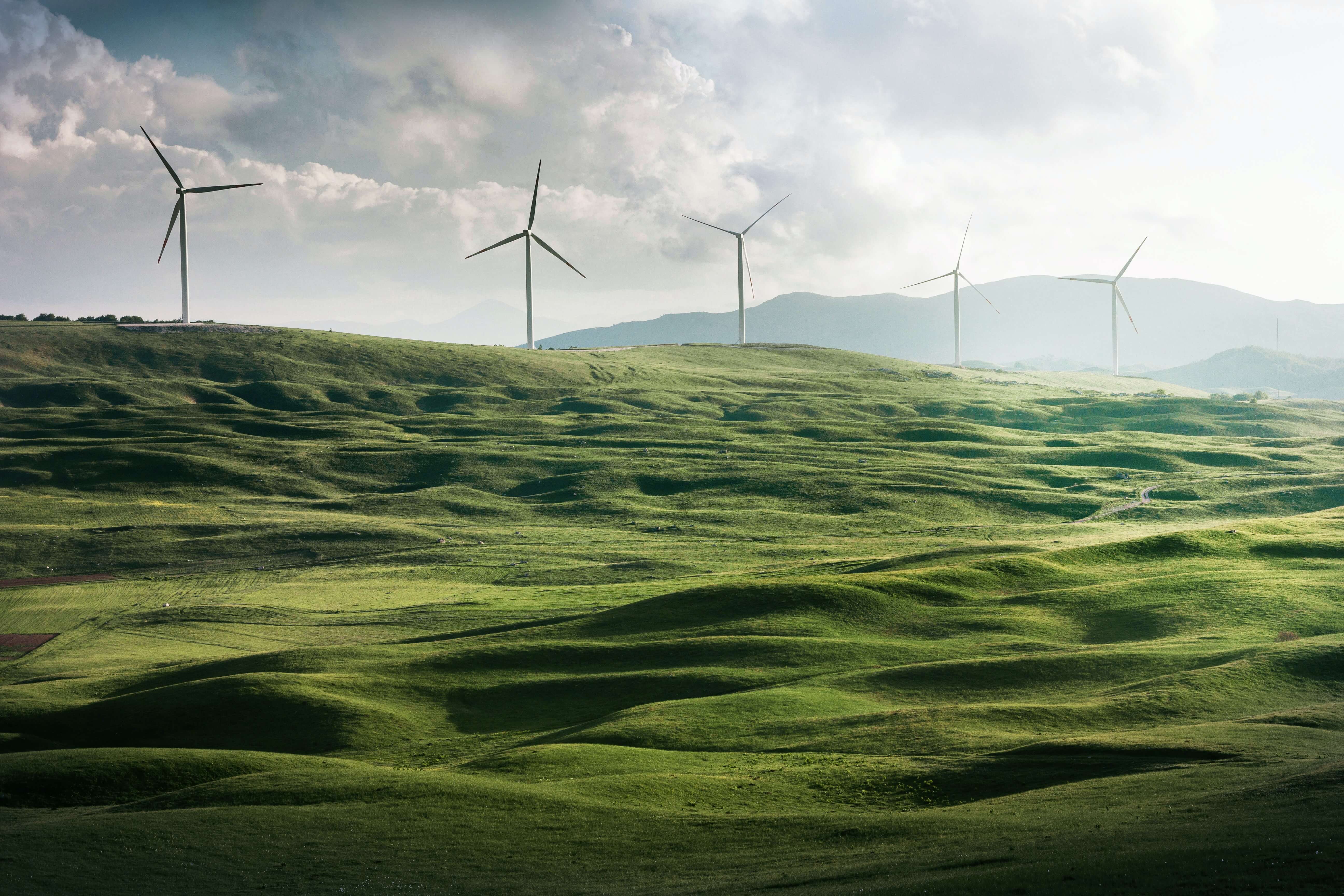 Sustainability & Circular Economy