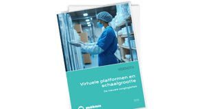 Visienota: Virtuele platformen en schaalgrootte