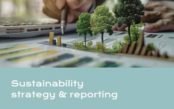 Sustainability strategy & reporting
