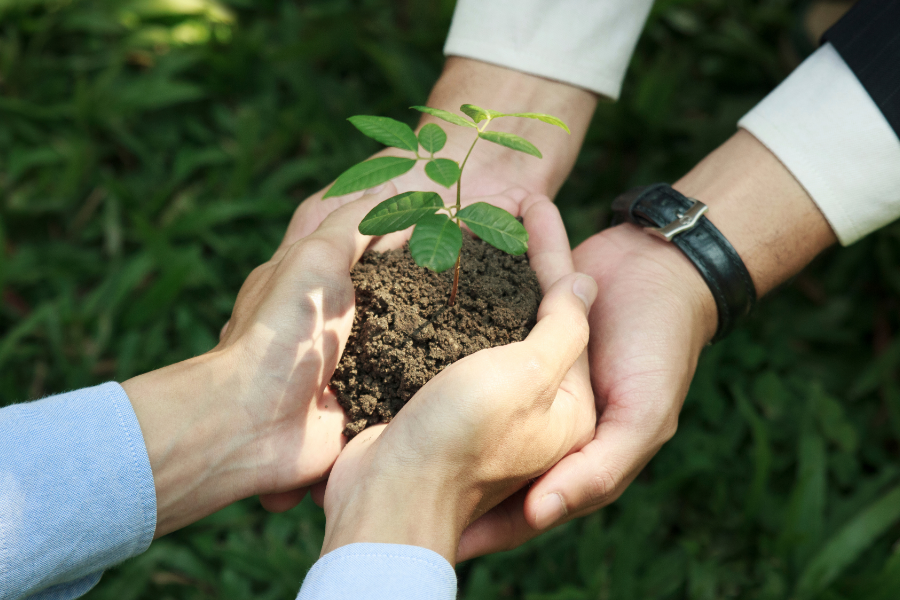 Sustainability