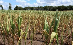 Stakeholdergedreven risicoprioritering voor eerste Belgische klimaat- en biodiversiteitsrapport