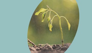 Managing Climate Risks: Insights from Hands-On Cases