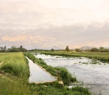 Hoe waterschappen écht werk maken van datagedreven sturen